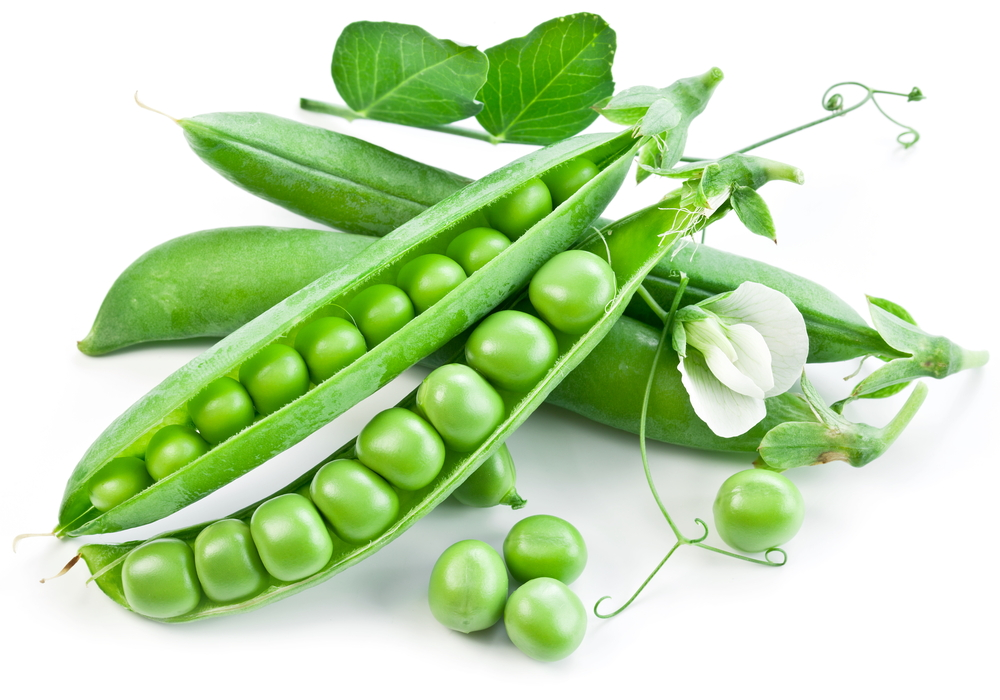 ärtväxt med öppna ärtskidor och vit blomma