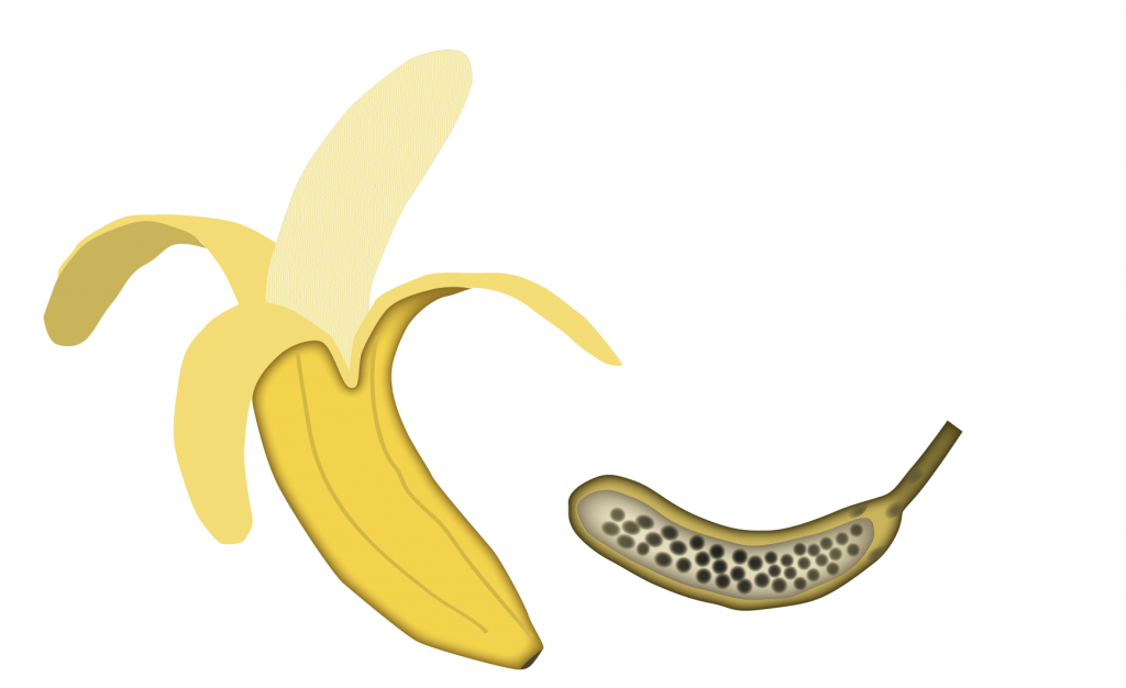 Banan och dess föregångare.