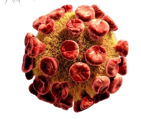 Virus.