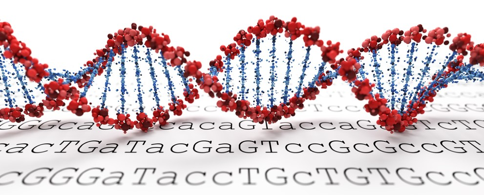 En DNA-spiral som ligger på en utskrift av en digital DNA-sekvens.